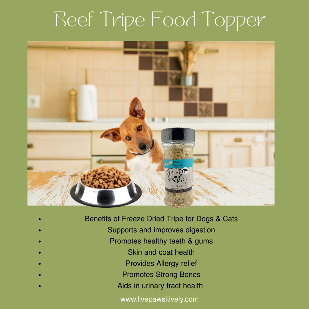 Live Pawsitive - Wholesale Pet Food - Dog - Beef, Chicken, Lamb, Salmon, White Fish & Vegan Sweet Potato11