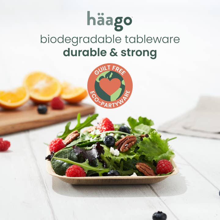 Häago - Wholesale Disposable Plate - 20 Recyclable Palm Leaf Plates6