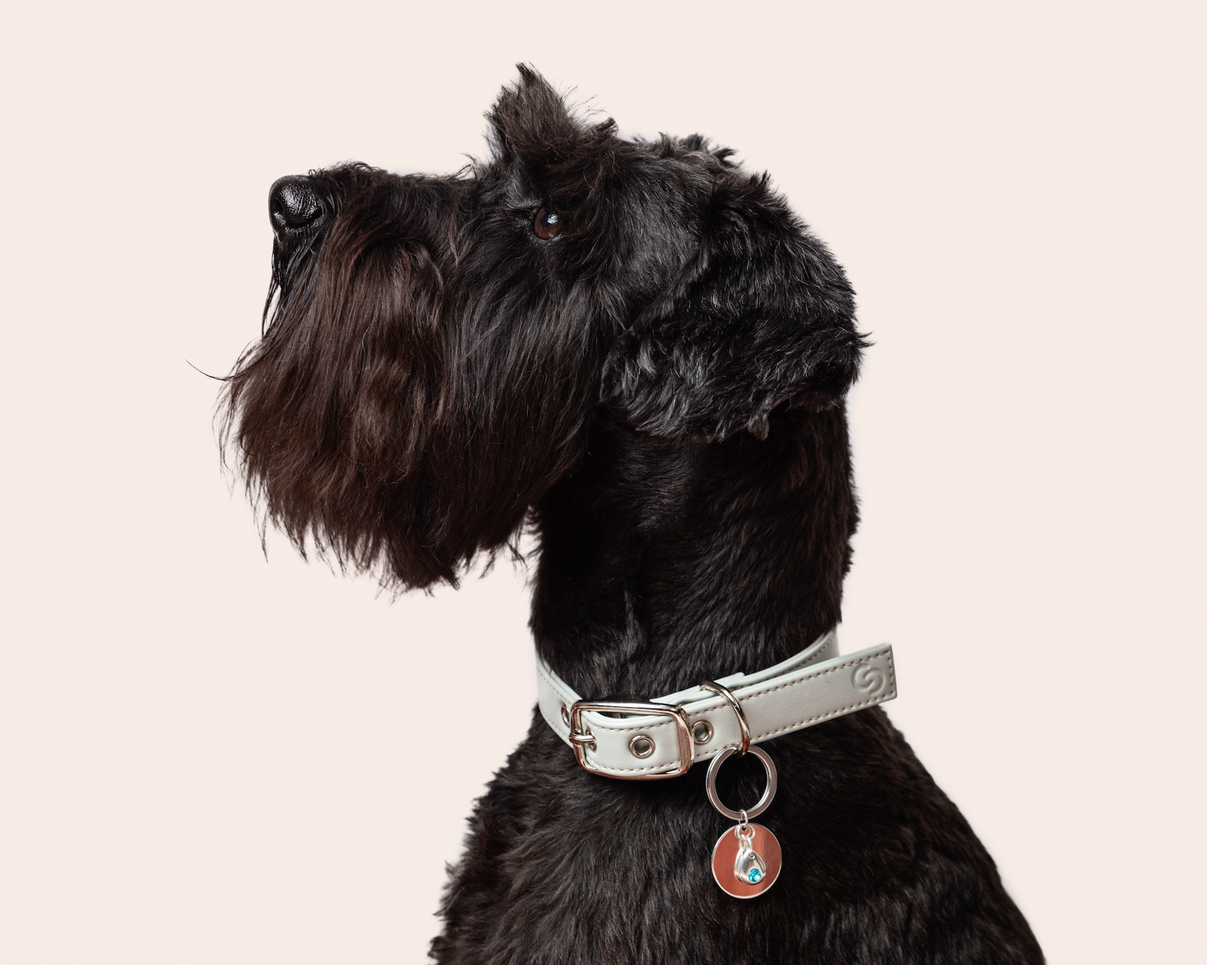 Skylos Collective - Wholesale Pet Collar Charm - Cat/Dog - Sterling silver birthstone collar charm1