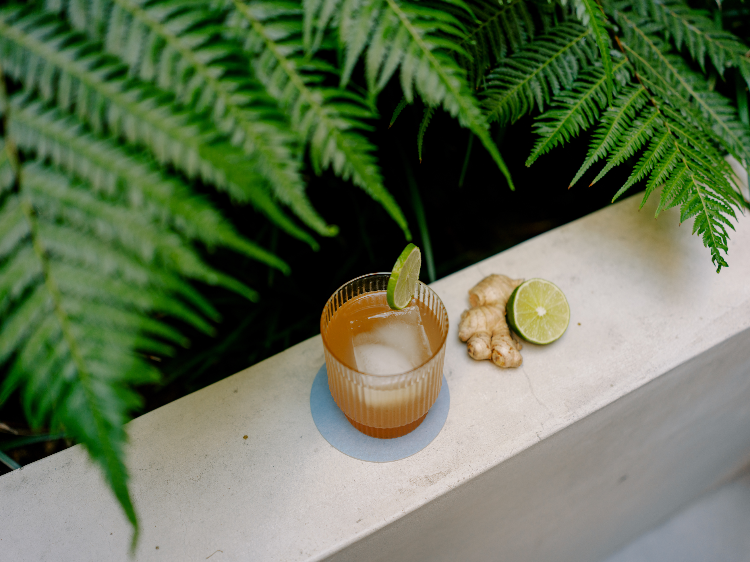 WithCo Cocktails - Vente Mélange/sirop pour cocktails - Mélange Mule au Gingembre (Racine de Gingembre, Bitters, Citron Vert)5