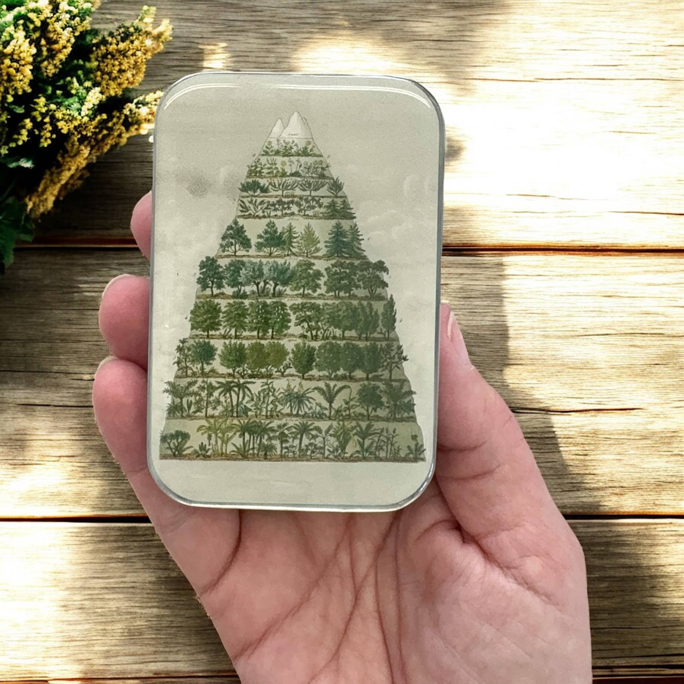 Firefly Notes - Venta al por mayor Cajas decorativas - Lata grande con resina manual Nature Meets Nostalgia1