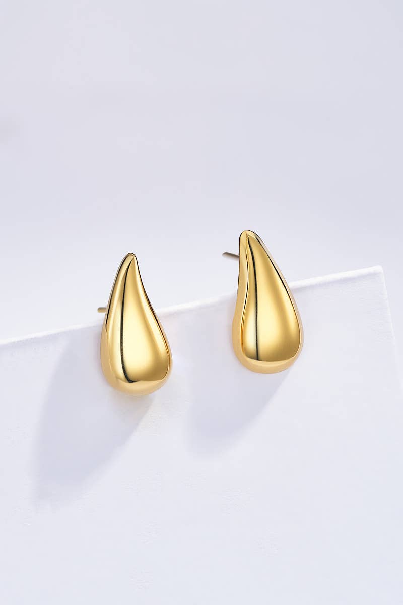 Gold Stainless steel earrings 124RX112 for wholesale on Faire