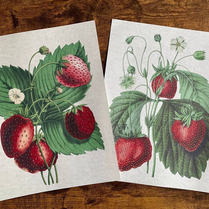 Magnifique Hearts - Wholesale Art Print - Vintage Style Strawberries Art Prints, Wall Decor, 2 Designs6