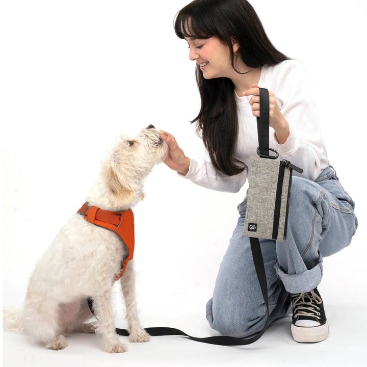 Cleverpup - Wholesale Pet Treat Bag - Dog - Porter Dog Gear Backpack12