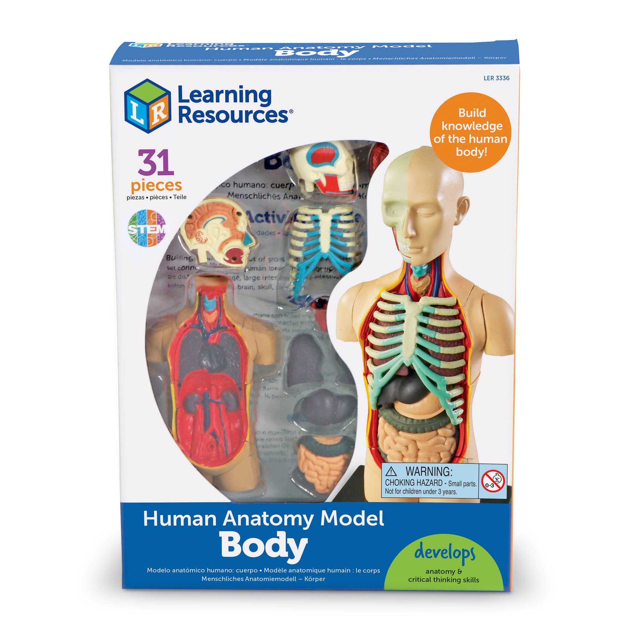 Learning Resources - Wholesale Toy Set - Kids - Human Body Anatomy Model6
