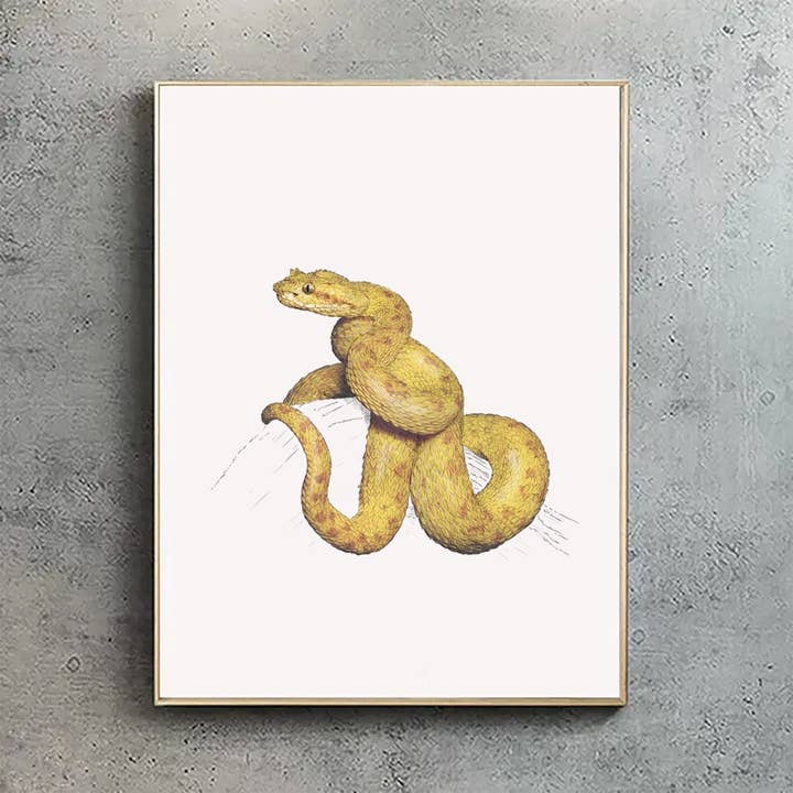 Eyelash viper - A4 Print (portrait) for wholesale by Hidden Planet