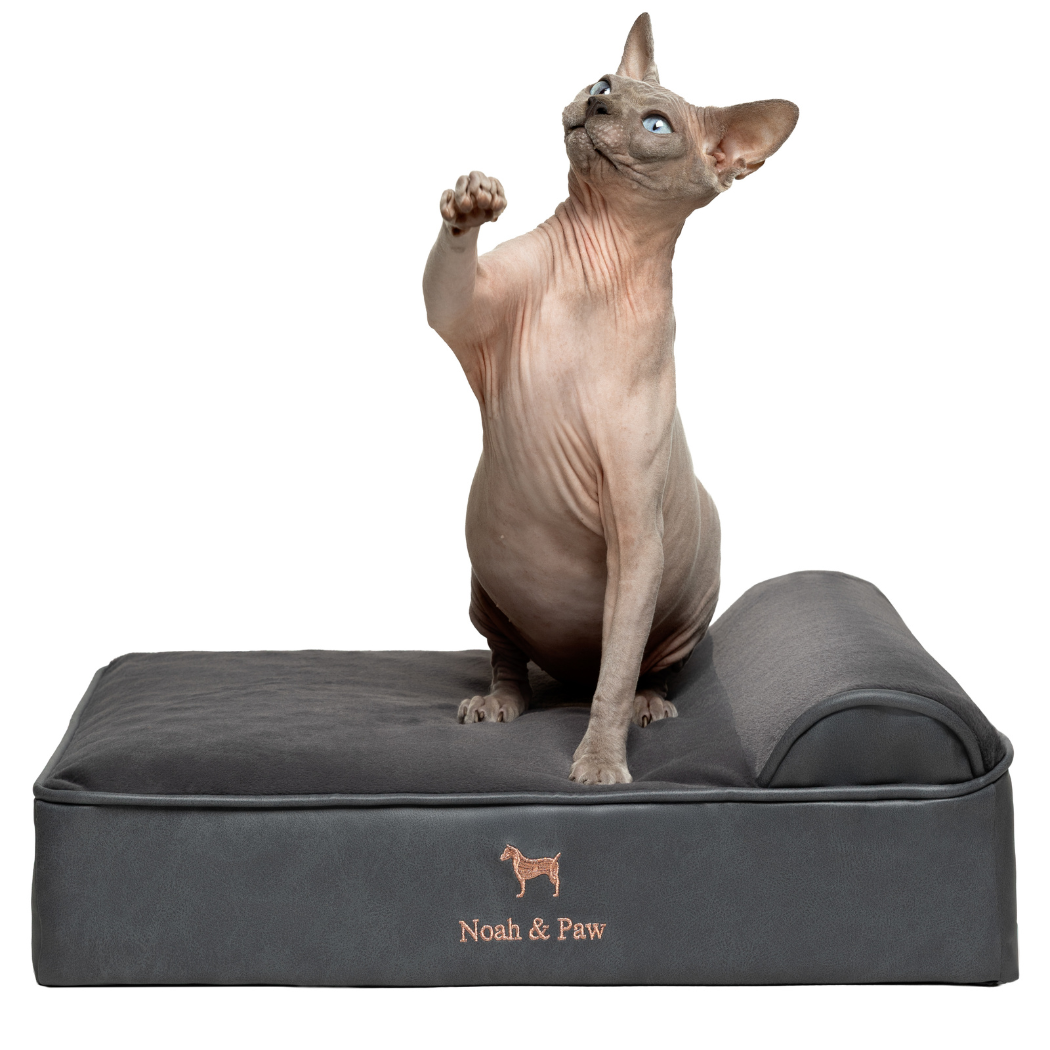 NOAH AND PAW LLC – Großhandel Haustierbett – Katze/Hund – Orthopädisches Hundebett aus Kunstleder mit Memory-Schaum und kühlendem Gel, klassischer Stil0