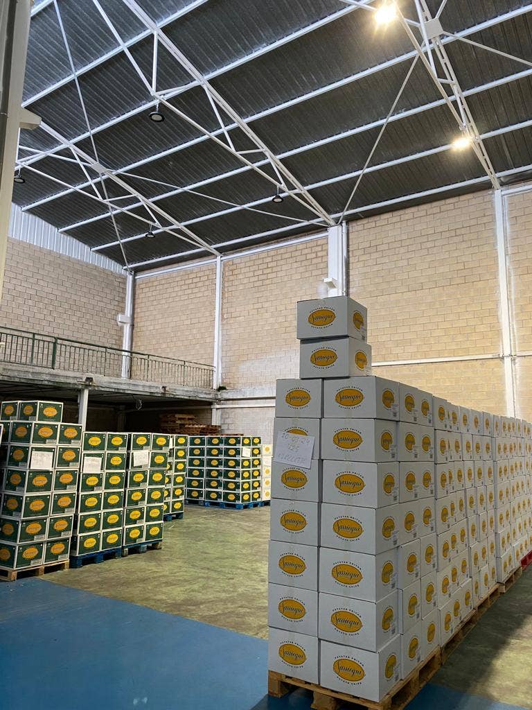 Chips Sarriegui - Wholesale Chips - BLACK TRUFFLE FLAVORED POTATO CHIPS 125 G9