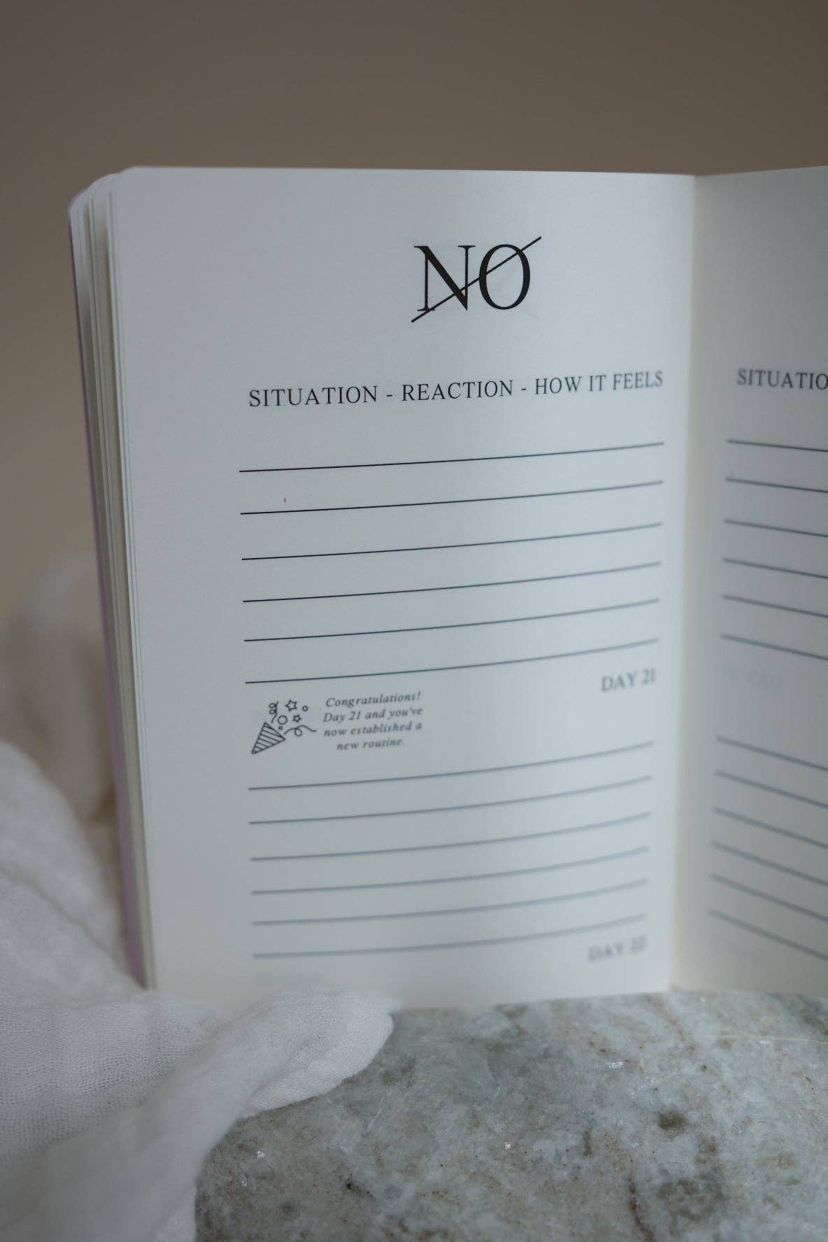 lavender THE LIFE BARN The No Book: Setting Boundaries for wholesale on Faire5