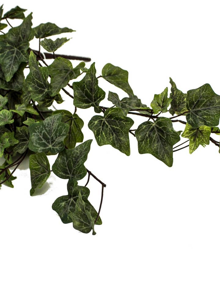28" English Hanging Ivy for wholesale by Tremont Floral Supplies