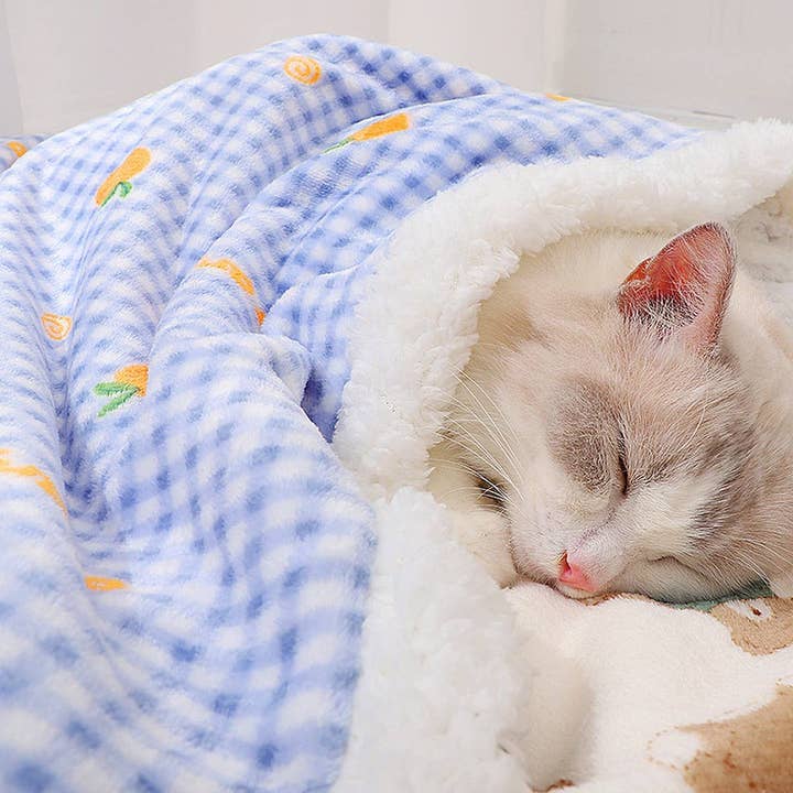 PAWPAWwholesale - Wholesale Pet Blanket - Cat/Dog - Cozy Double-Layer Cat blanket – Soft Sofa Mat_CWMM72836