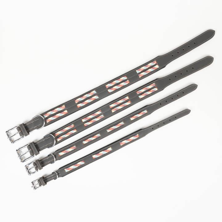 Dogs and Cats Oh My - Wholesale Pet Collar - Dog - Leather Buckle Collar with Paracord Insert