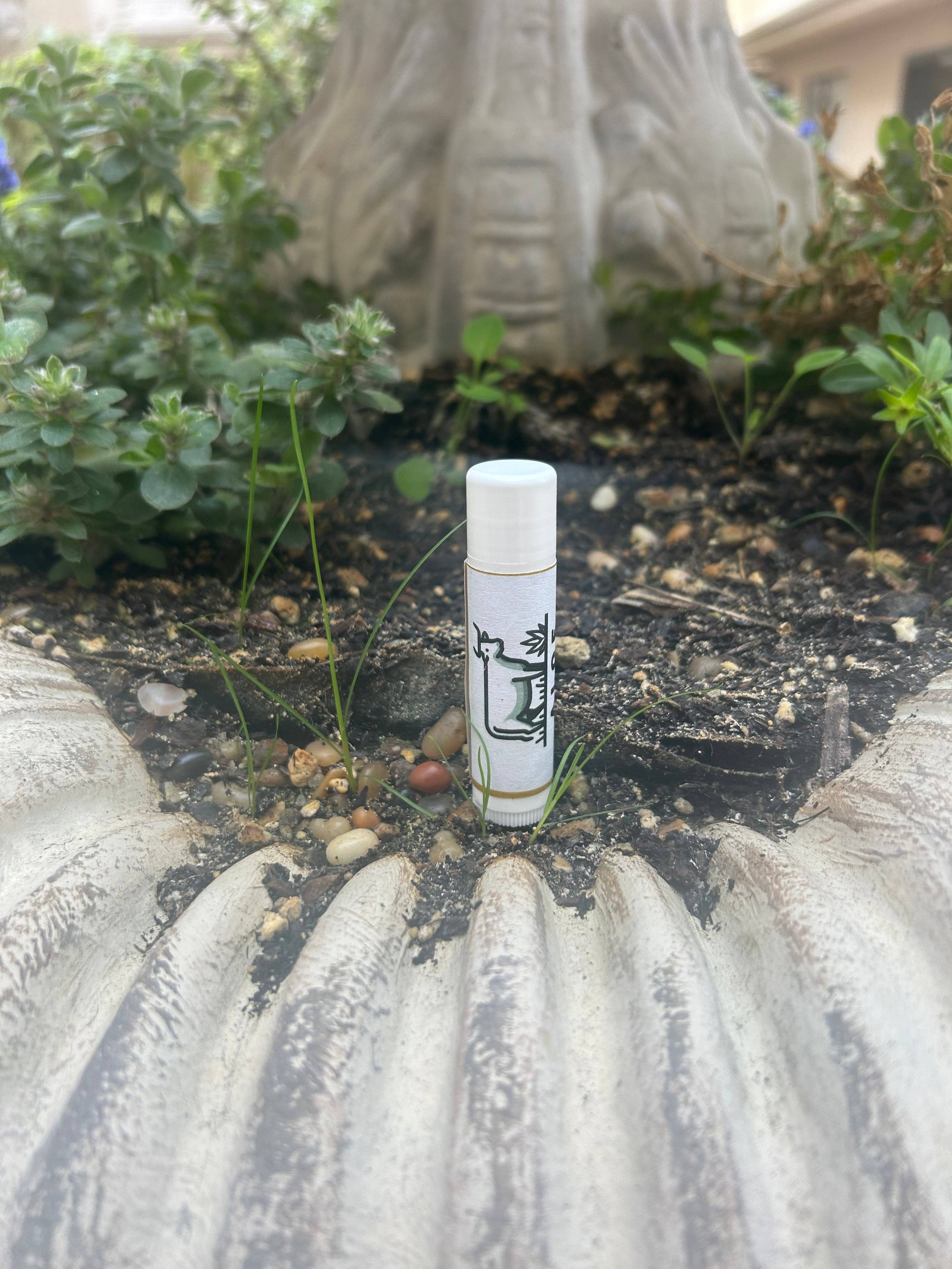 Aloe Tallow - Wholesale Lip Balm - Tallow Lip Balm4