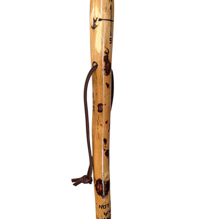 Creation Carvings LLC - Wholesale Sporting Accessories - Walking Stick with Compass carving & "Not all who wander are lost" quote, Hiking Stick, Up to 60" Tall strong wood staff for hiking.
