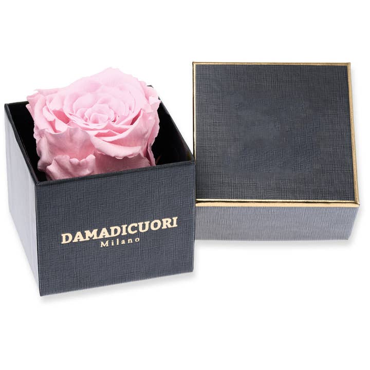 True unique rose, pink, preserved, in a luxurious black and gold box for wholesale by DAMADICUORI Milano