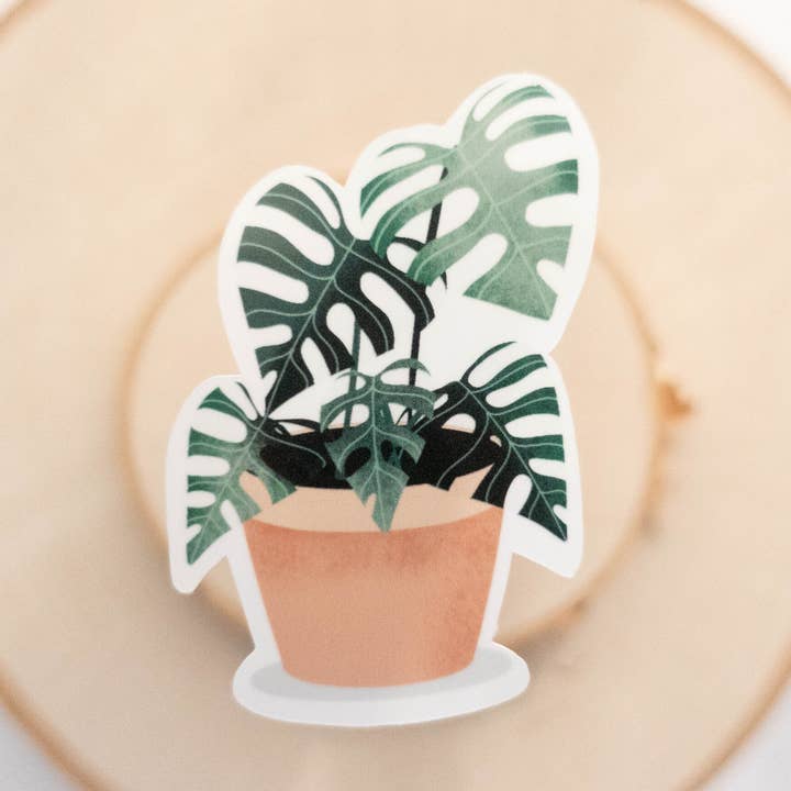 Monstera Deliciosa klistermärke, växtklistermärke, växt Mpm för wholesale av Syera Love & Co.
