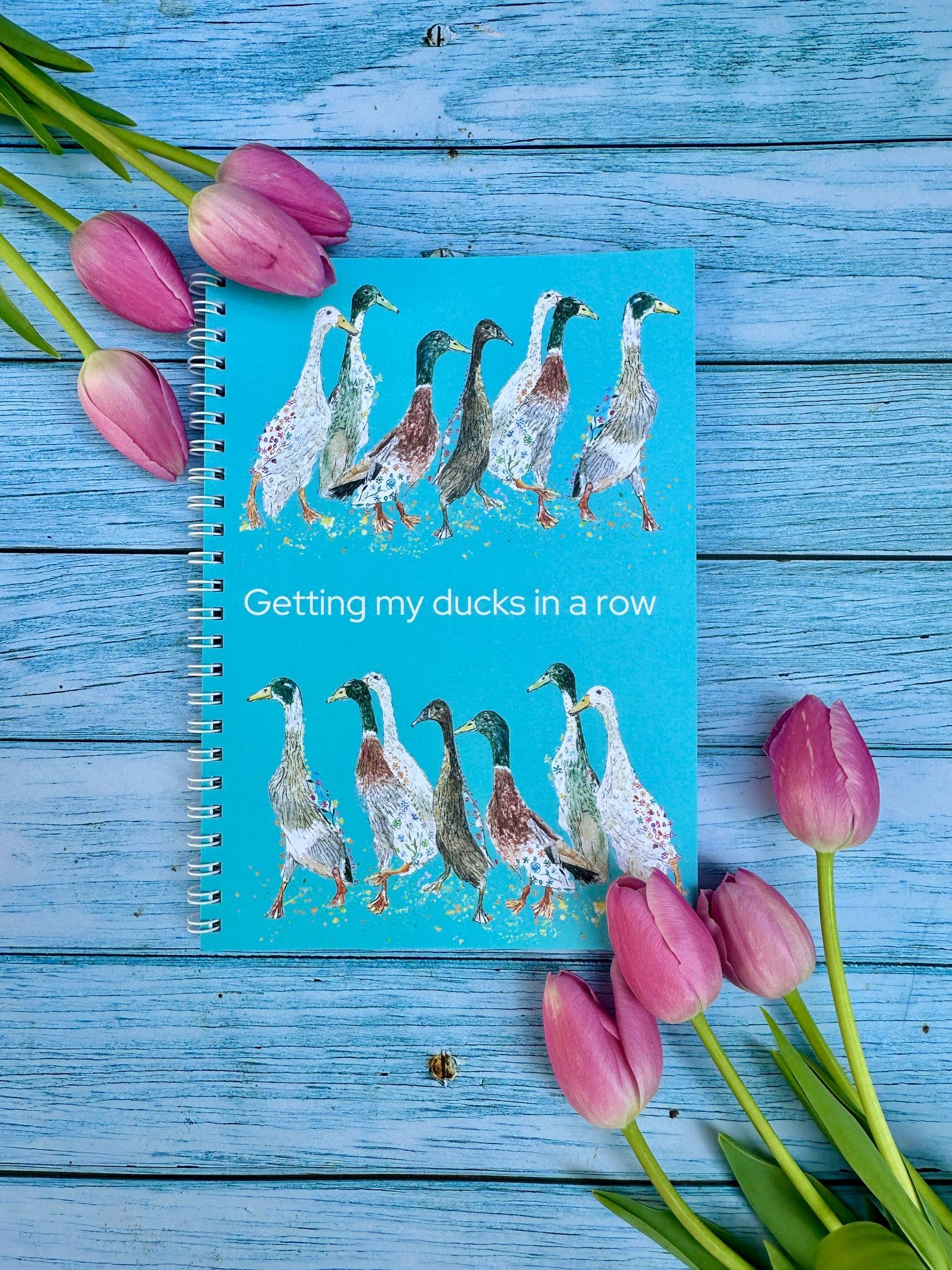 Jen Winnett Eco Artist - Wholesale Notebook - Ducks Funny Lined Eco Friendly A5 Notebook UK Made Notepad3