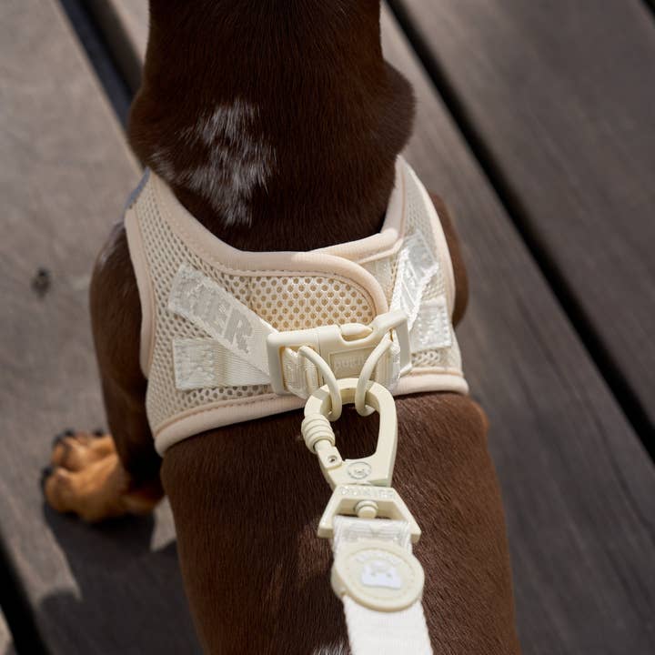 Dukier - Wholesale Pet Leash - Dog - BEIGE DOG LEASH1