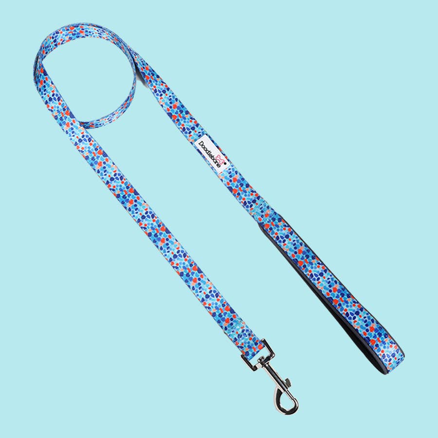 Doodlebone – wholesale Pet leash – Dog – Padded Dog lead19
