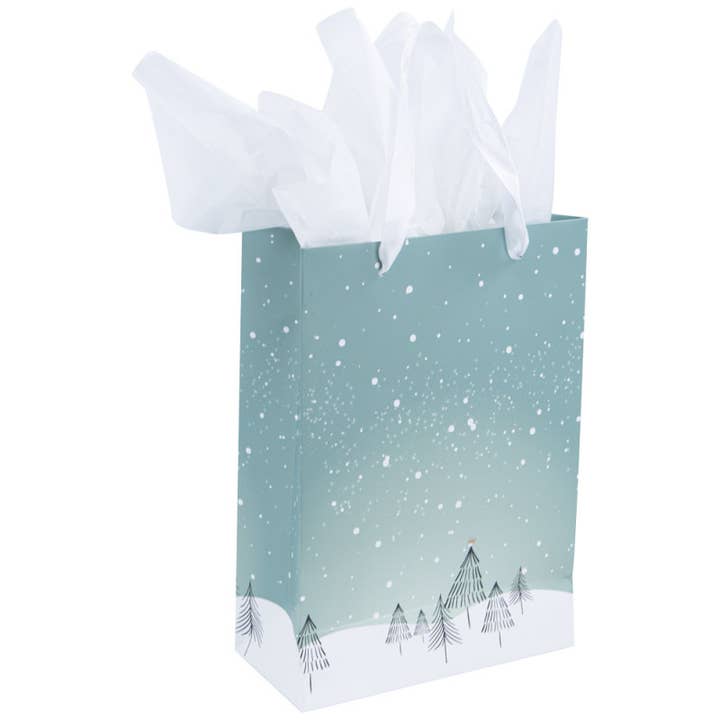 blue white Rectangular Cardboard Bag 19x9x27cm Polar for wholesale on Faire2