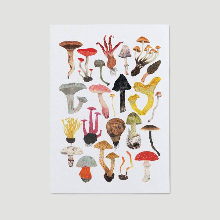Mushrooms and Toadstools Art Print for wholesale by James Barker