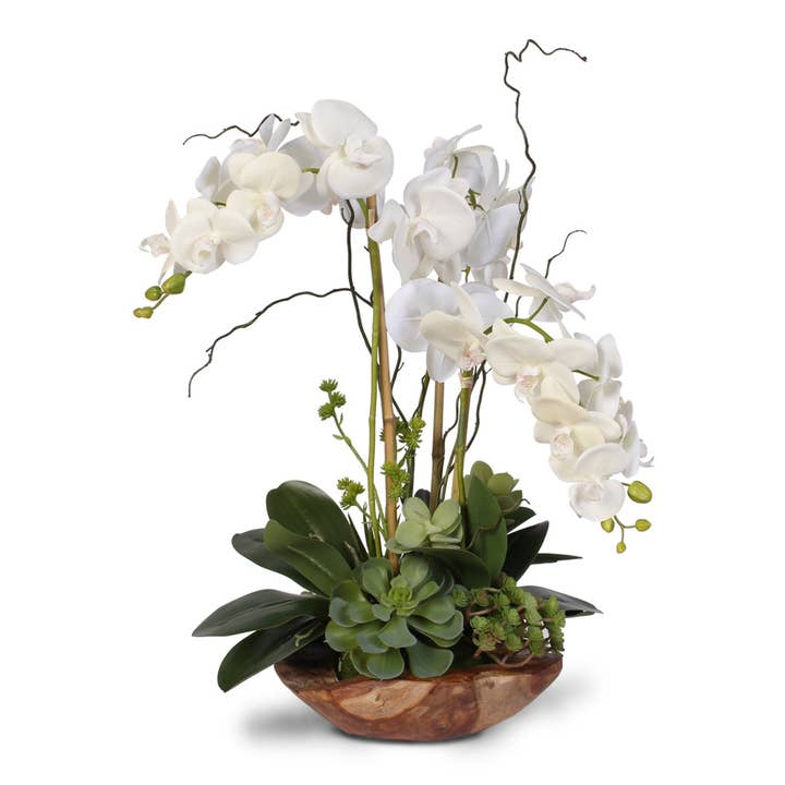Silk Phalaenopsis Orchid with Succulents in Teak Wood Bowl for wholesale by JENNY SILKS