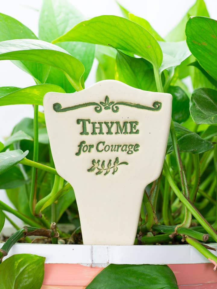 Thyme - Garden Lore for wholesale by Amaranth Stoneware Ltd