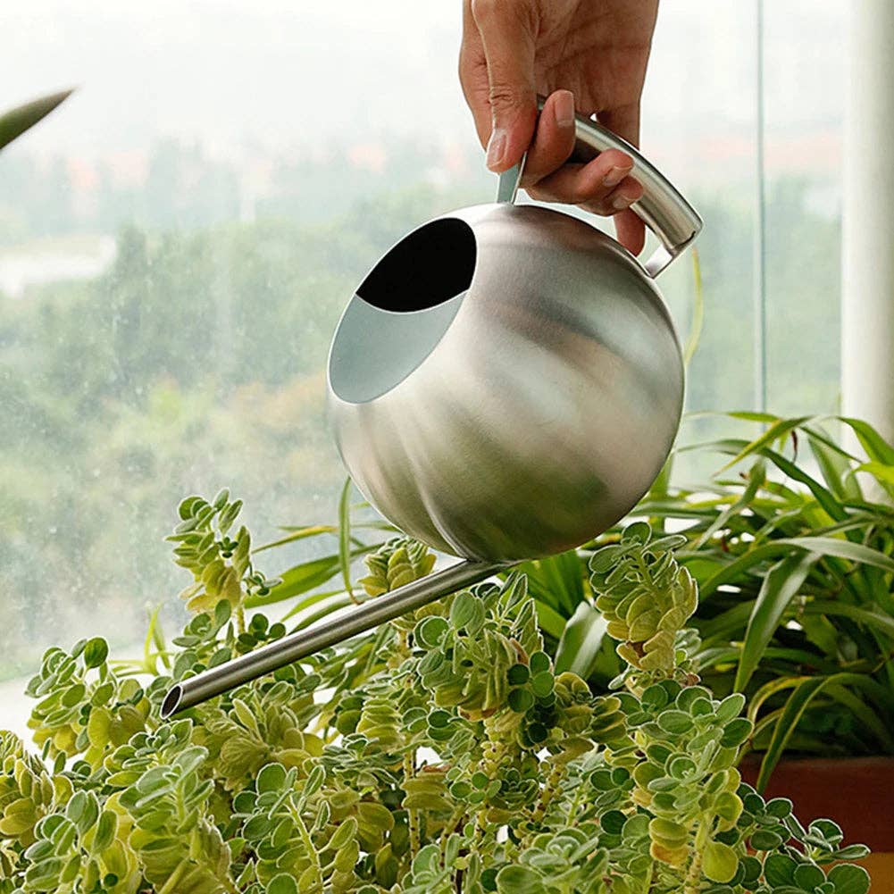 BRECK + FOX - Wholesale Watering Can - Minimalist Plant Watering Can2