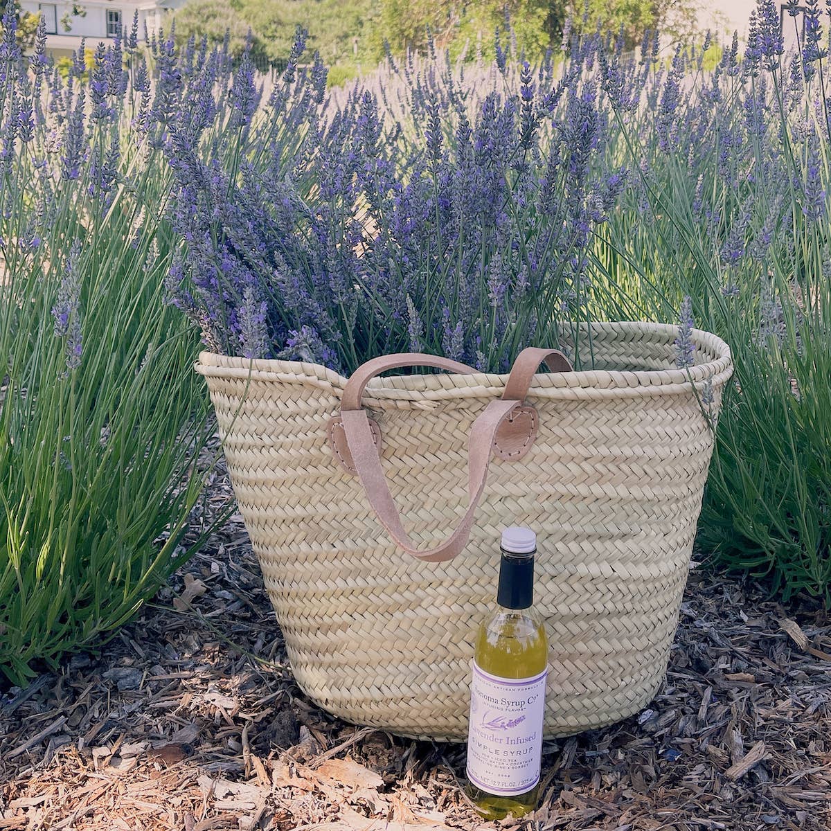 Sonoma Syrup Co. - Wholesale Cocktail Mix/Syrup - 12.7 oz Lavender Infused Simple Syrup2