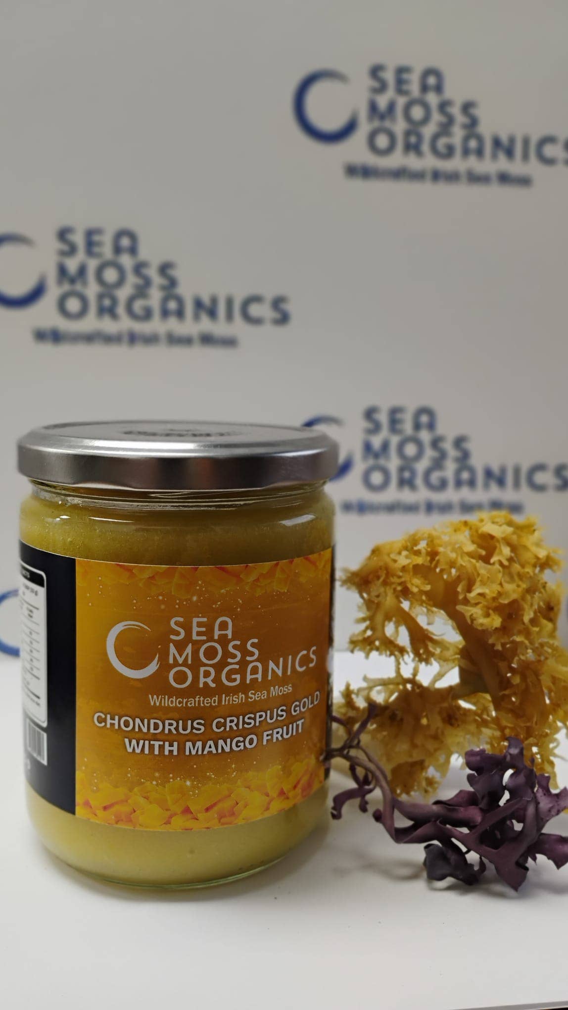 Sea Moss Organics LLC - Wholesale Oral Supplement/Vitamin - Sea Moss Gel with Organic Mango 2