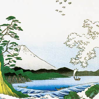 FANGST 12X12 DOBBELT KORT SNC 701230 for engroshandel hos Phenicia