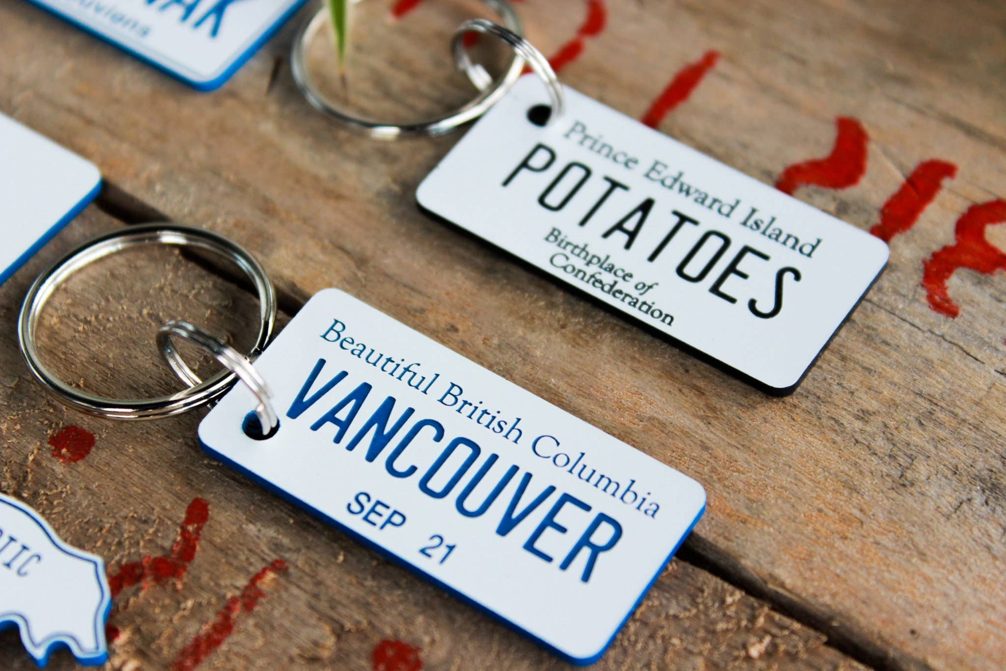 The Laundry Room Shop – Porta-chaves - Unissexo por atacado – Porta-chaves Personalizável de Plástico Gravado Personalizável - Canadá4