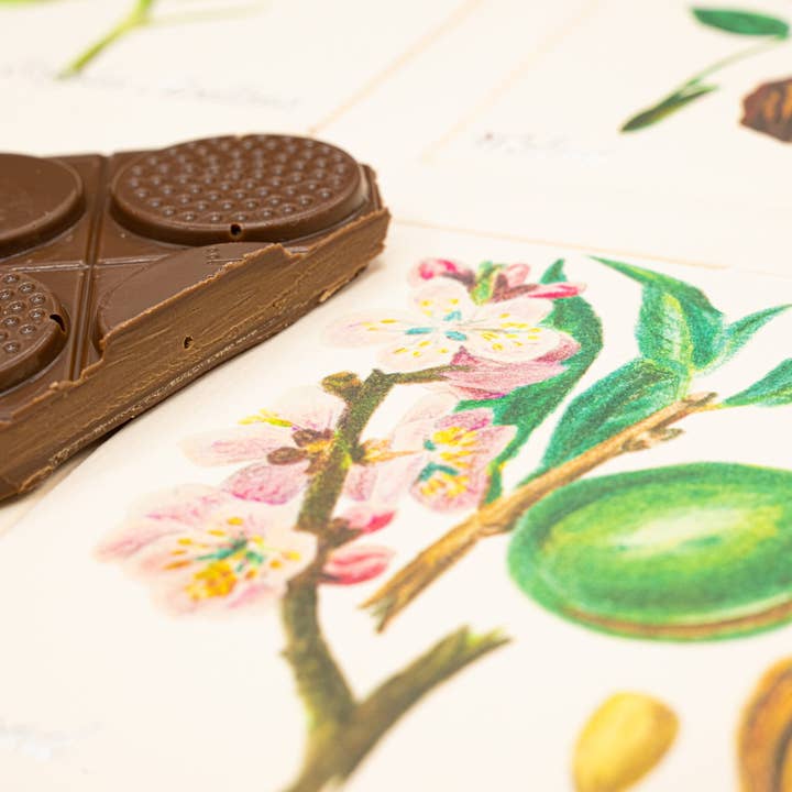 Melt Chocolates โ wholesale Chocolate bar โ Extra Thick: Almond Filled Bar1