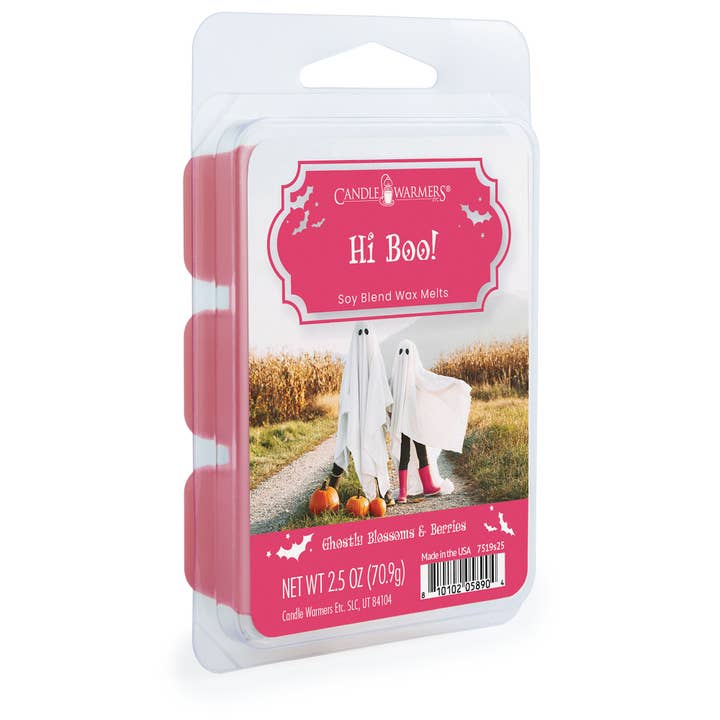 Fondant de cire 2,5 oz Hi Boo! Édition limitée Halloween pour la vente par Candle Warmers Etc.
