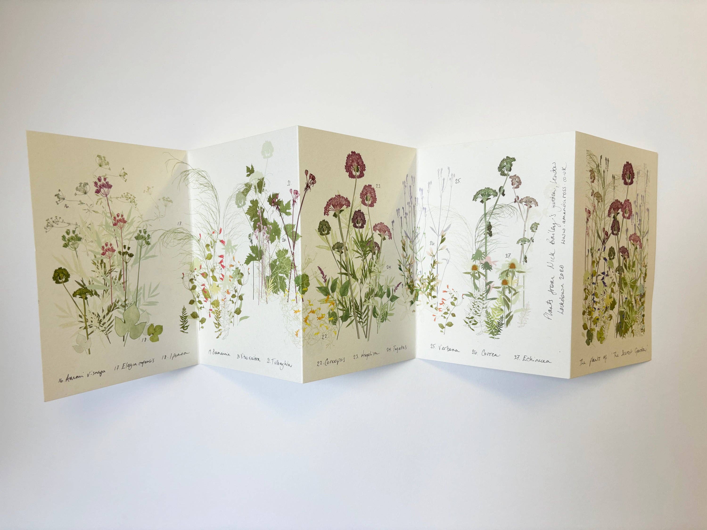 Amanda Ross - Wholesale Nature & Outdoors - 'The Secret Garden' Concertina Book4