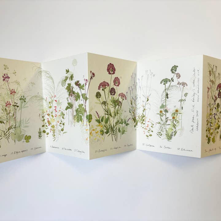 Amanda Ross - Wholesale Nature & Outdoors - 'The Secret Garden' Concertina Book4