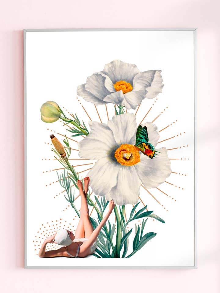 Daisy plakat for engroshandel hos Flora Florae