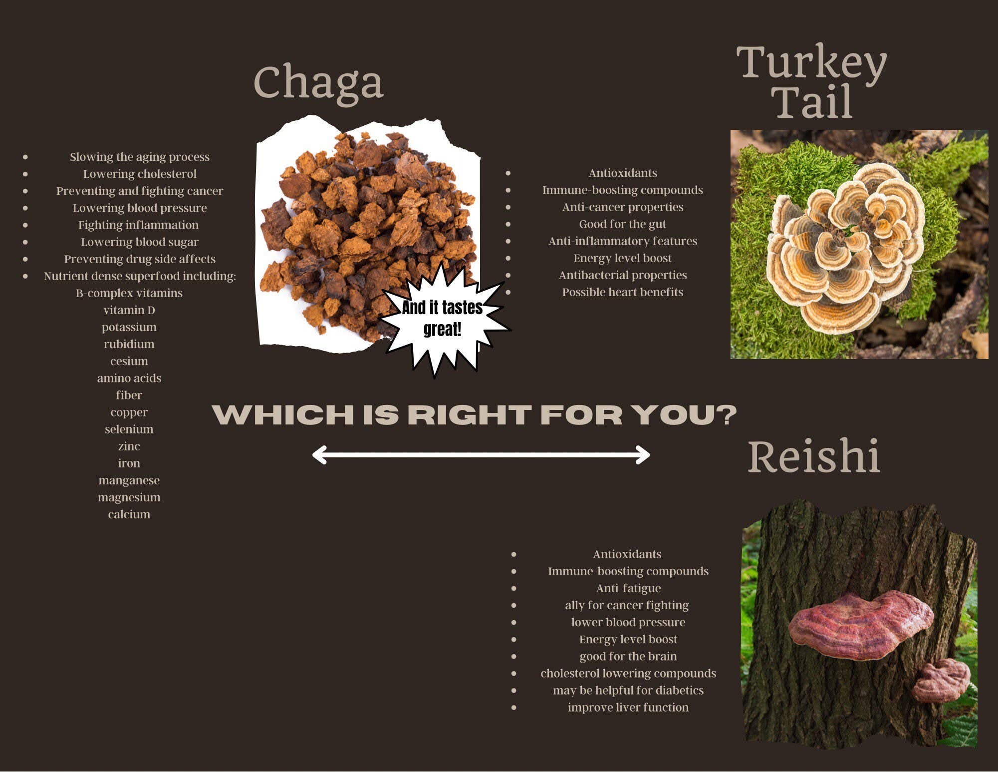 Great Lakes Treats - Wholesale Health/Detox Tea - Great Lakes Treats Michigan Wild Harvested Chaga, 15 Convenient Tea Bags3