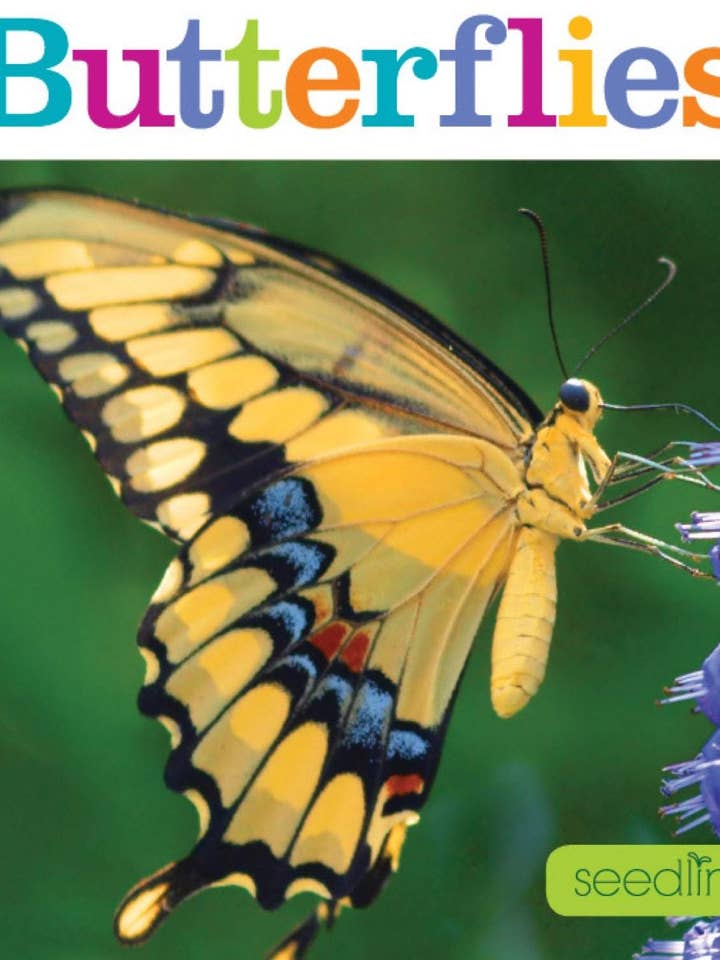 Mudas: borboletas por atacado de The Creative Company