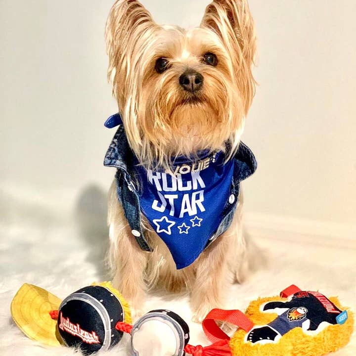 Parisian Pet® - Wholesale Pet Bandana - Dog - Rock Star Bandana – Trendy Dog Bandana for Pets