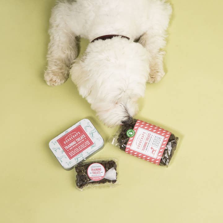 Goodchap's - Vente Friandises – chien - Friandises d'entraînement pour poissons | Friandises écologiques | Sans plastique