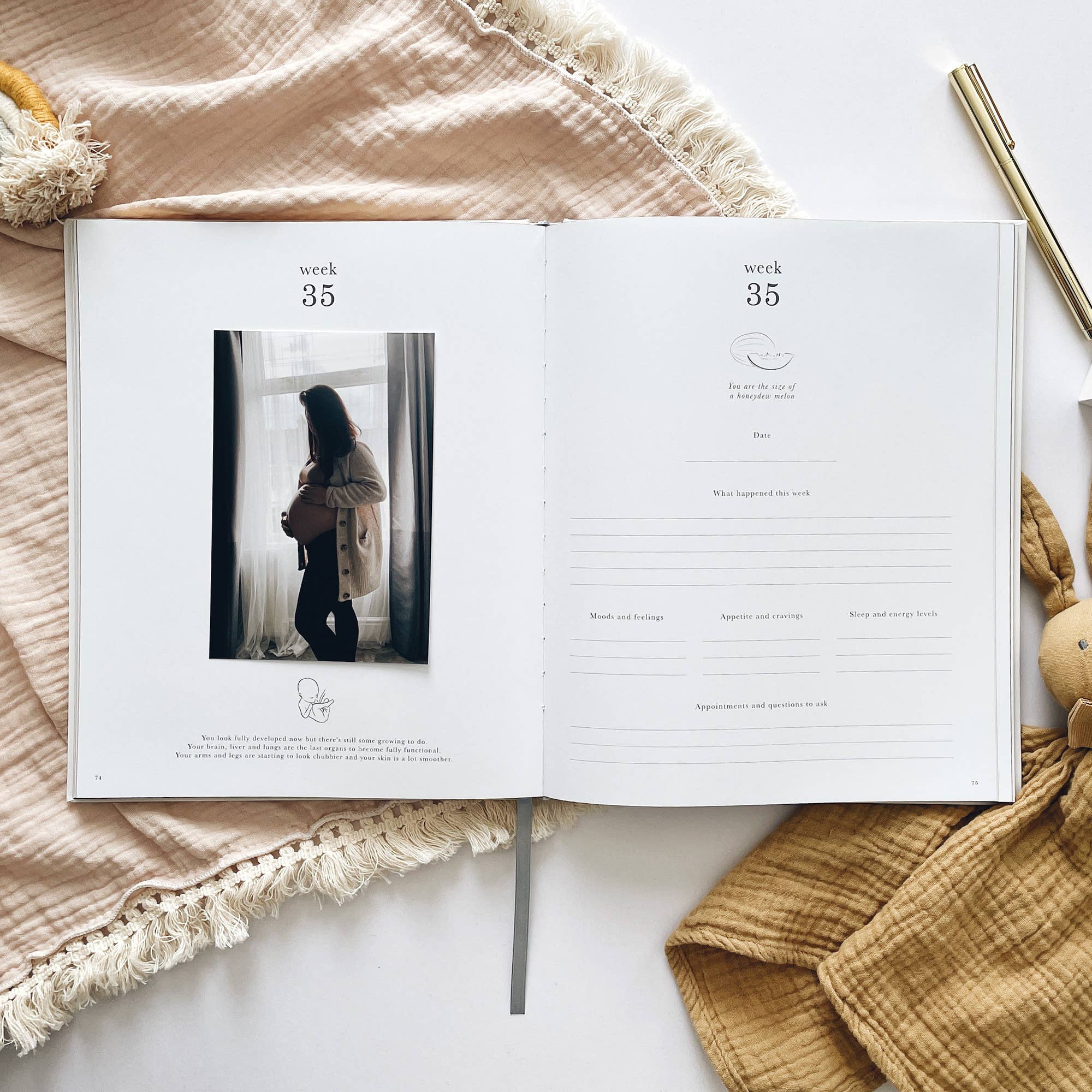 Blush And Gold – wholesale Diary – Maternity – Pregnancy Journal (Animals) expectant mum, parents to be14