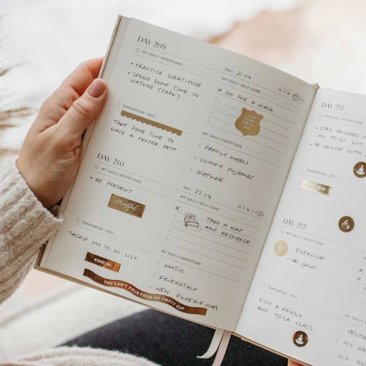 Blush And Gold - Wholesale Journal/diary - NEW- My Daily Self-Care Journal - Wellness Journal (Jupiter)8