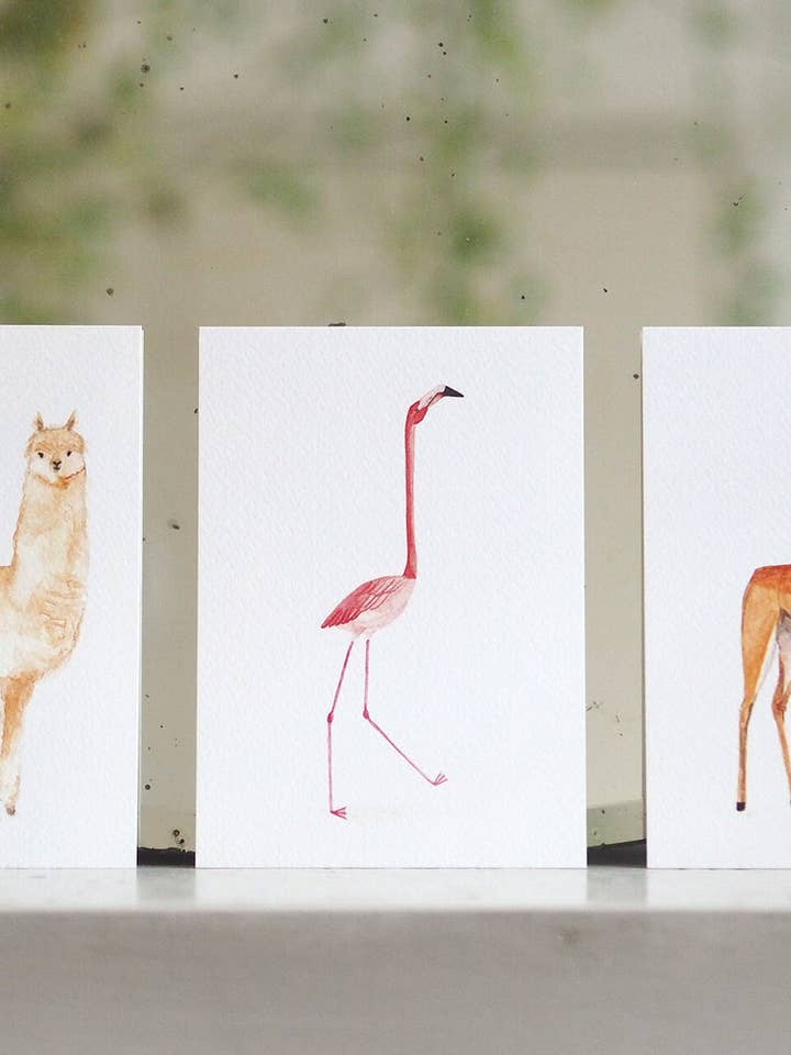 Animal Postcards, 6 different animals; Llama.. for wholesale by Mary and the Locks