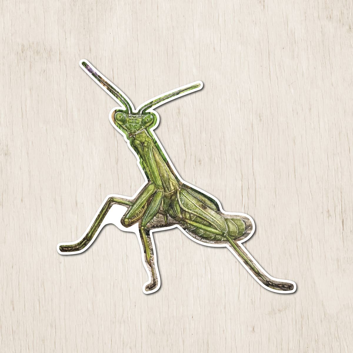 Rachael Bee Artwork - Wholesale Sticker - Praying Mantis Sticker 0