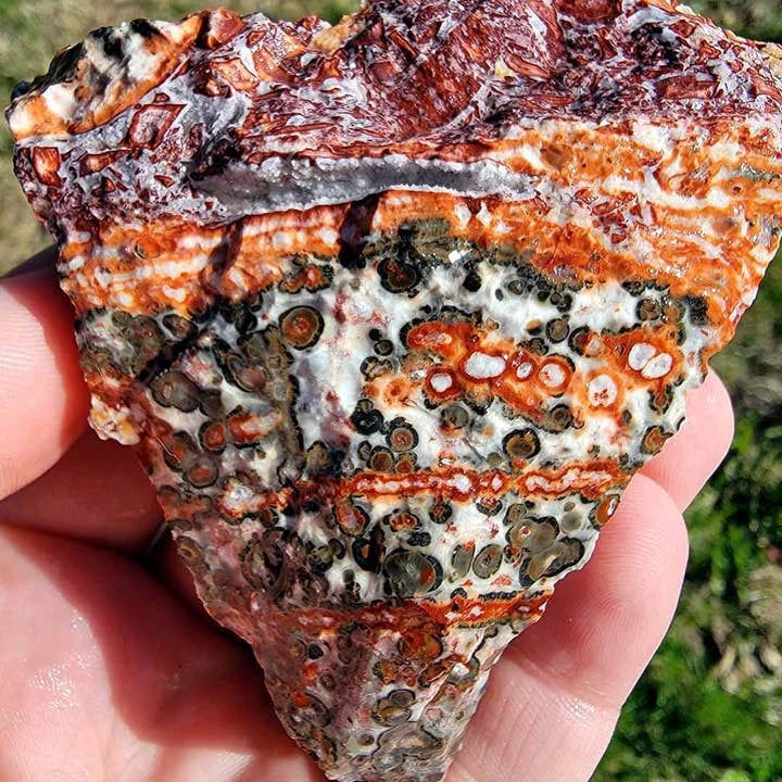 Lapidary Central – Pedra/cristal espiritual por atacado – Amostra Aleatória de Riólito Pele de Leopardo Mexicano em Bruto!3