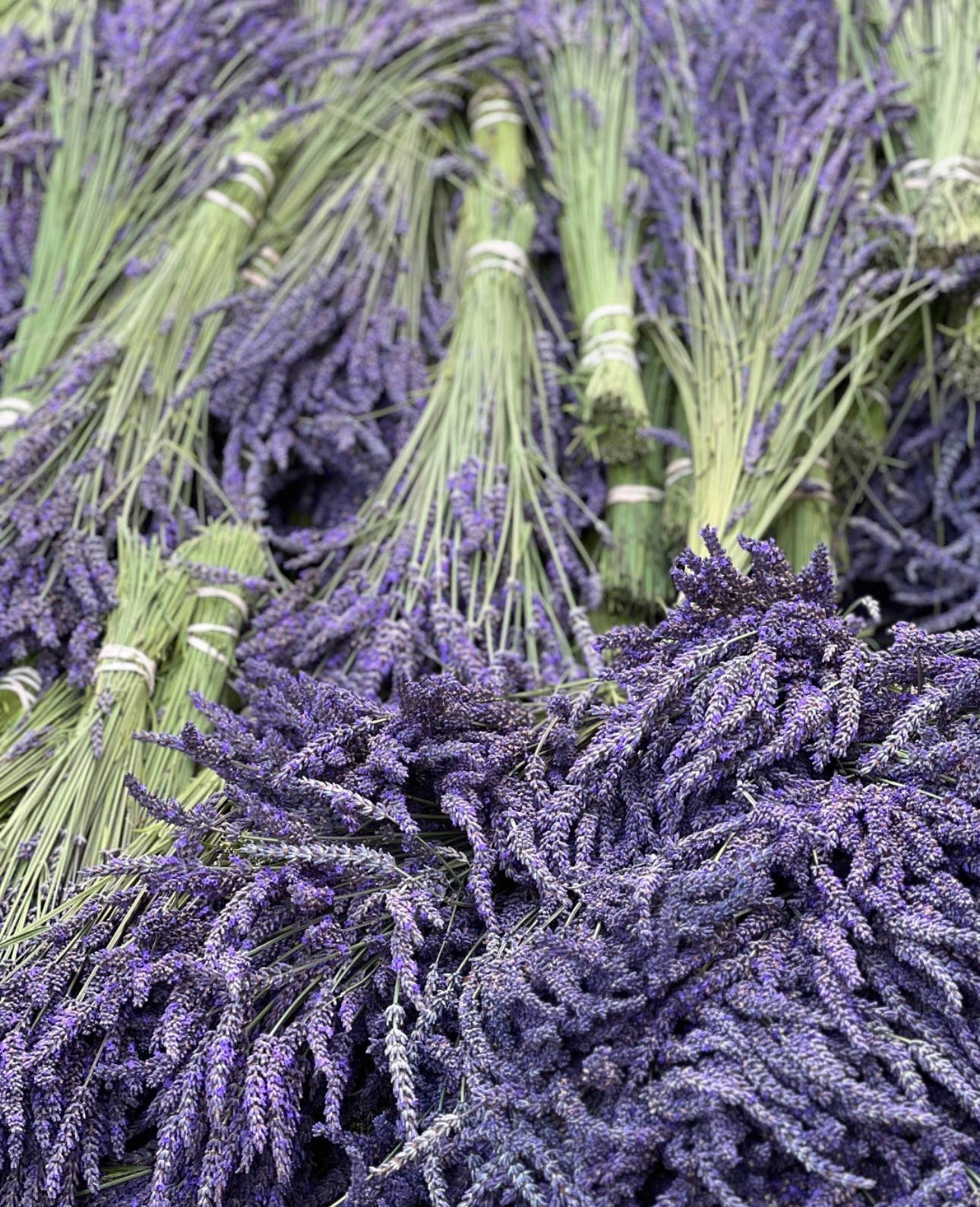 Lavender Beads - Wholesale Essential Oil - Lavender Essential Oil 30ml - For Aromatherapy Bracelets6