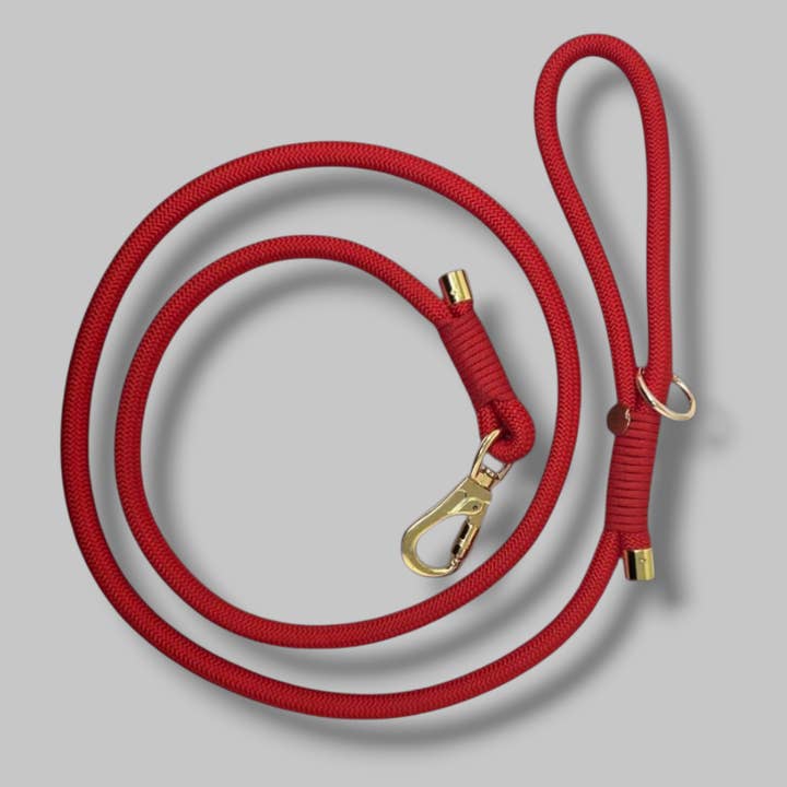 I bring you Christmas for wholesale by COCKIET