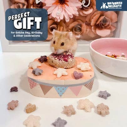 No Furries Delights – Suplemento para animais de estimação – Excluindo cães/gatos por atacado – Binky Chips | Bolso de pílula para pequenos animais10