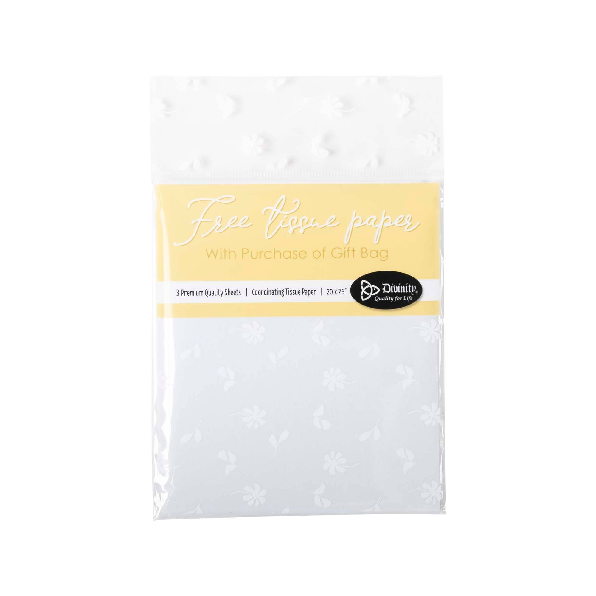 Divinity Boutique - Wholesale Gift Bag - Gift Bag: Let Your Light Shine(Matthew 5:16)8